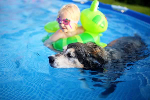 Is a swimming pool on your new home wish list? Decide which type is for you.